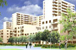 Zdjęcie inwestycji Wolne Miasto 814