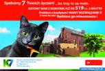 Zdjęcie inwestycji Wolne Miasto 2566
