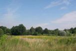 Zdjęcie inwestycji Wolne Miasto 2788