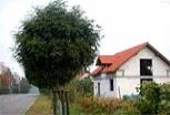 Zdjęcie inwestycji Wolne Miasto 4745