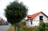 Zdjęcie inwestycji Wolne Miasto 6718